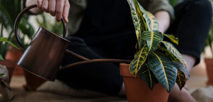 Branding: a semente do sucesso da sua marca